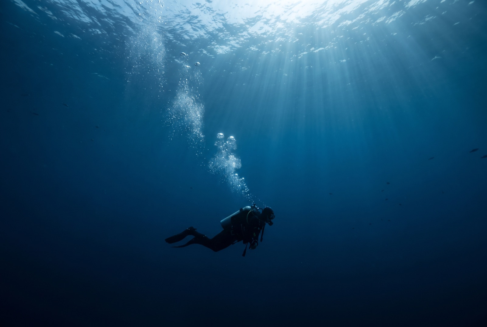 PADI Deep Diver Specialty — PADI diving course across the GCC