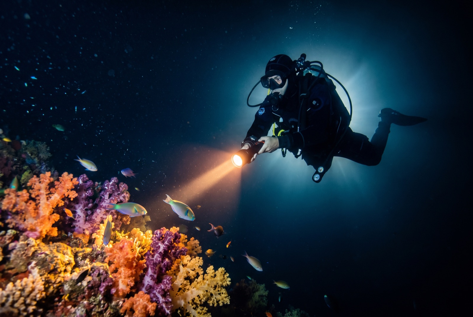 PADI Night Diver Specialty — PADI diving course across the GCC